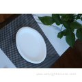 Disposable Paper Plate for Picnic